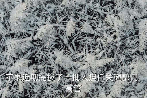 蘋(píng)果近期提拔了一批人擔(dān)任關(guān)鍵部門(mén) 高管