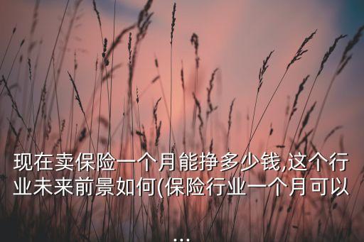 現(xiàn)在賣保險(xiǎn)一個月能掙多少錢,這個行業(yè)未來前景如何(保險(xiǎn)行業(yè)一個月可以...