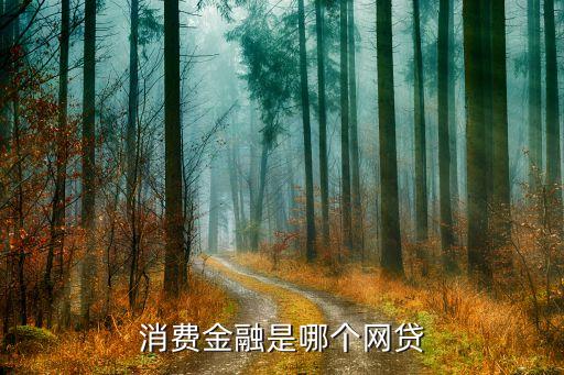 遼寧榮科金融服務有限公司