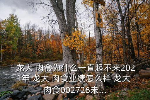  龍大 肉食為什么一直起不來(lái)2021年 龍大 肉食業(yè)績(jī)?cè)趺礃?龍大 肉食002726未...