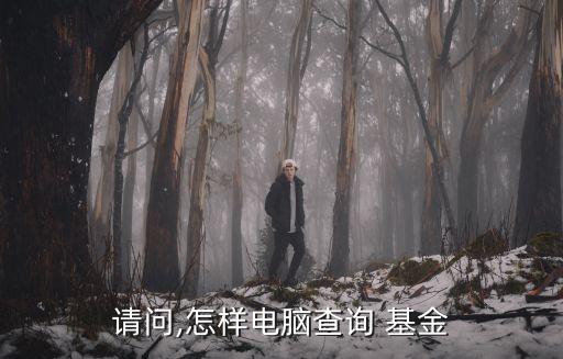 請(qǐng)問(wèn),怎樣電腦查詢(xún) 基金