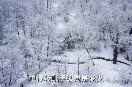 中行轉賬手續(xù)費是多少