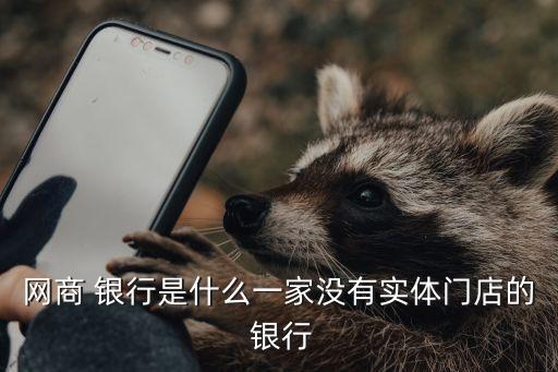 網(wǎng)商 銀行是什么一家沒(méi)有實(shí)體門店的 銀行