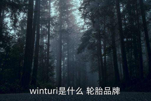 winturi是什么 輪胎品牌
