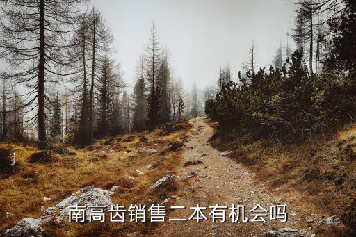 南高齒銷售二本有機會嗎
