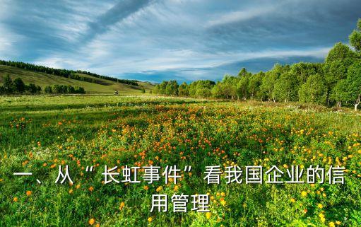 一、從“ 長(zhǎng)虹事件”看我國(guó)企業(yè)的信用管理