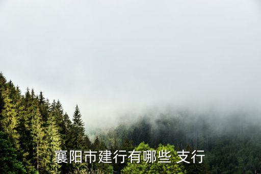 中國建設銀行宜昌伍家支行