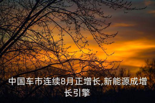 中國車市連續(xù)8月正增長(zhǎng),新能源成增長(zhǎng)引擎