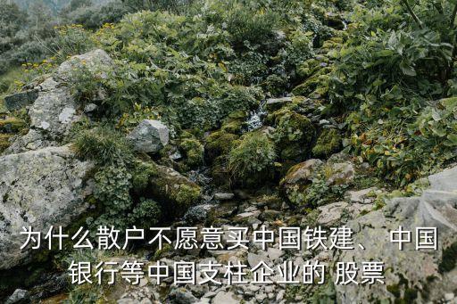 為什么散戶不愿意買中國(guó)鐵建、 中國(guó)銀行等中國(guó)支柱企業(yè)的 股票