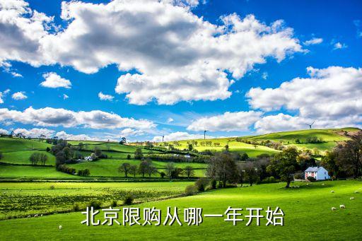  北京限購(gòu)從哪一年開(kāi)始