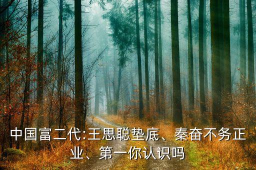 中國(guó)富二代:王思聰墊底、秦奮不務(wù)正業(yè)、第一你認(rèn)識(shí)嗎
