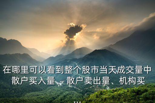 在哪里可以看到整個股市當(dāng)天成交量中 散戶買入量、 散戶賣出量、機(jī)構(gòu)買...