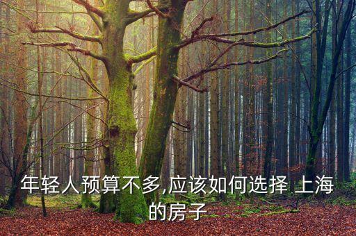 小白領(lǐng)白領(lǐng)在上海可能買(mǎi)房嗎