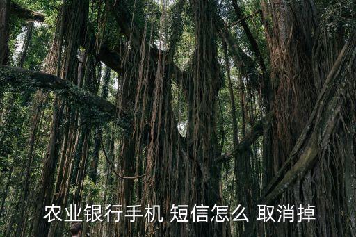 農業(yè)銀行手機 短信怎么 取消掉