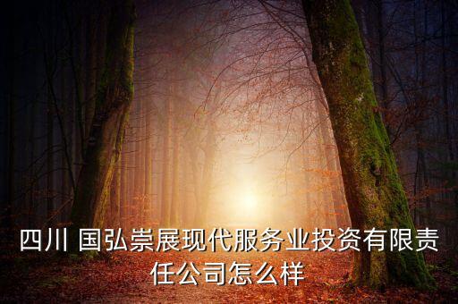四川 國弘崇展現代服務業(yè)投資有限責任公司怎么樣