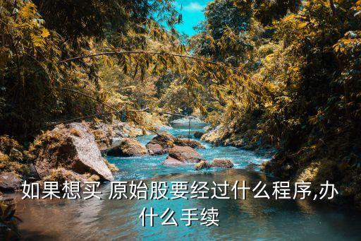 如果想買 原始股要經(jīng)過(guò)什么程序,辦什么手續(xù)