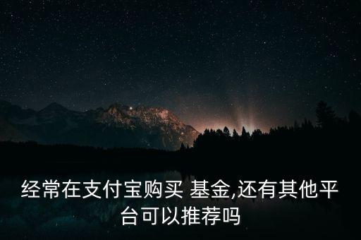 經(jīng)常在支付寶購(gòu)買 基金,還有其他平臺(tái)可以推薦嗎
