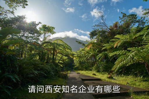 請(qǐng)問西安知名企業(yè)有哪些