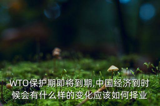 WTO保護(hù)期即將到期,中國經(jīng)濟(jì)到時(shí)候會有什么樣的變化應(yīng)該如何擇業(yè)