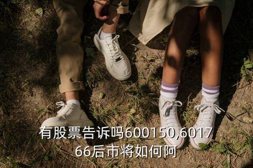 持有中國(guó)南車(chē)的基金,中國(guó)基金持有人數(shù)