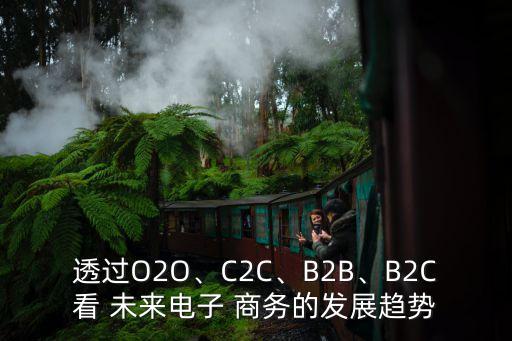 透過(guò)O2O、C2C、B2B、B2C看 未來(lái)電子 商務(wù)的發(fā)展趨勢(shì)