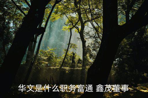 華文是什么職務富通 鑫茂董事