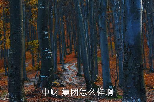 中財(cái)集團(tuán)財(cái)福在線(xiàn)登錄