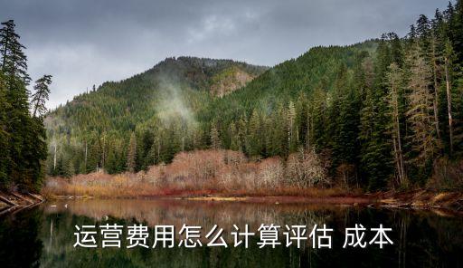 藝術(shù)品基金運(yùn)營成本分析報告