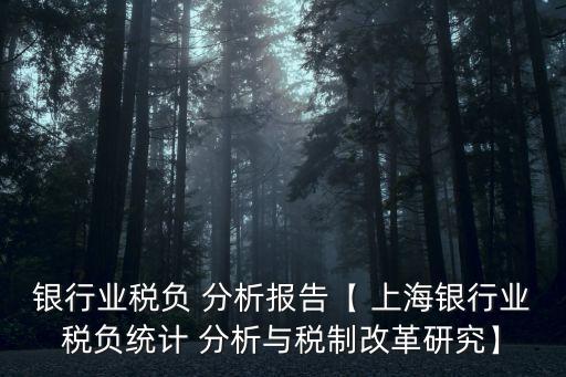 銀行業(yè)稅負(fù) 分析報告【 上海銀行業(yè)稅負(fù)統(tǒng)計 分析與稅制改革研究】