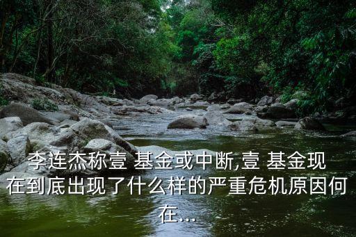 李連杰稱壹 基金或中斷,壹 基金現(xiàn)在到底出現(xiàn)了什么樣的嚴(yán)重危機原因何在...