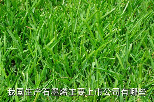 我國(guó)生產(chǎn)石墨烯主要上市公司有哪些