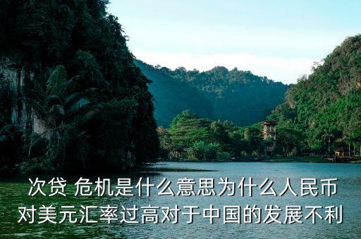 預(yù)測(cè)中國次貸危機(jī),預(yù)測(cè)次貸危機(jī)的經(jīng)濟(jì)學(xué)家