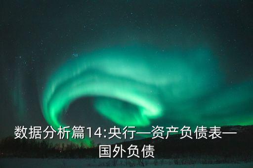 數(shù)據(jù)分析篇14:央行—資產負債表—國外負債