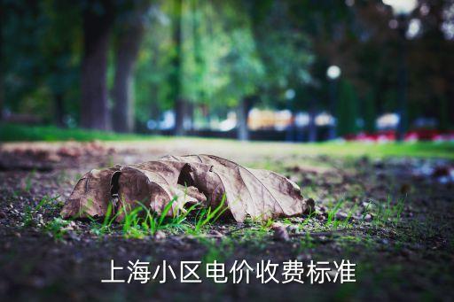 2016年上海的電費(fèi)多少錢(qián)一度