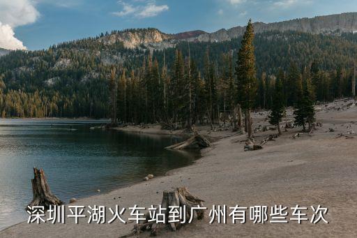 深圳平湖火車(chē)站到廣州有哪些車(chē)次