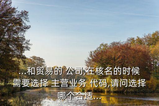 ...和貿(mào)易的 公司,在核名的時(shí)候需要選擇 主營(yíng)業(yè)務(wù) 代碼,請(qǐng)問選擇哪個(gè)合適...