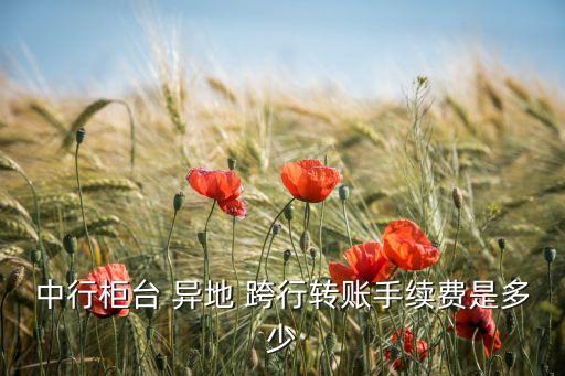中行柜臺 異地 跨行轉(zhuǎn)賬手續(xù)費(fèi)是多少