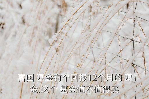  富國 基金有個回報(bào)12個月的 基金,這個 基金值不值得買