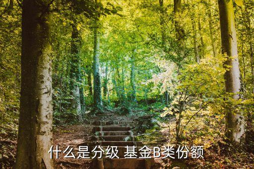 什么是分級(jí) 基金B(yǎng)類(lèi)份額