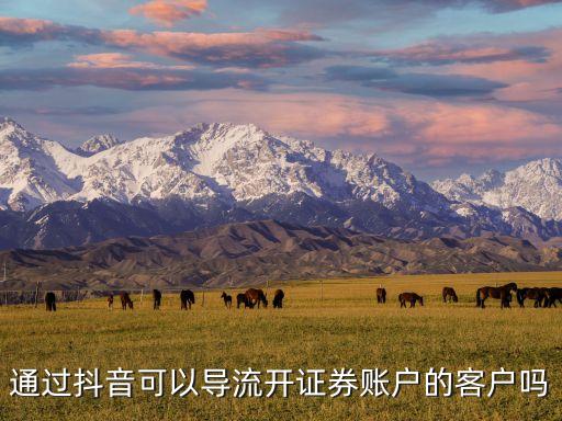 通過(guò)抖音可以導(dǎo)流開(kāi)證券賬戶(hù)的客戶(hù)嗎