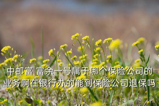 中郵富 富余一號屬于哪個保險(xiǎn)公司的業(yè)務(wù)啊在銀行辦的能到保險(xiǎn)公司退保嗎...