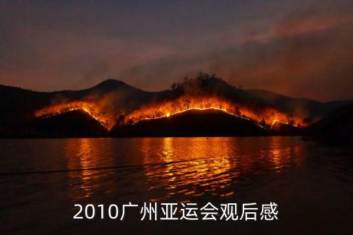 2010廣州亞運(yùn)會觀后感