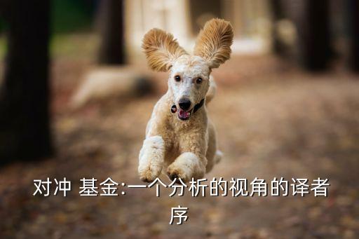  對沖 基金:一個(gè)分析的視角的譯者序