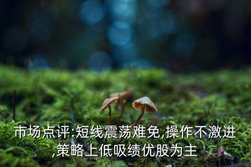 市場點(diǎn)評:短線震蕩難免,操作不激進(jìn),策略上低吸績優(yōu)股為主