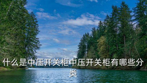 什么是中壓開關柜中壓開關柜有哪些分類