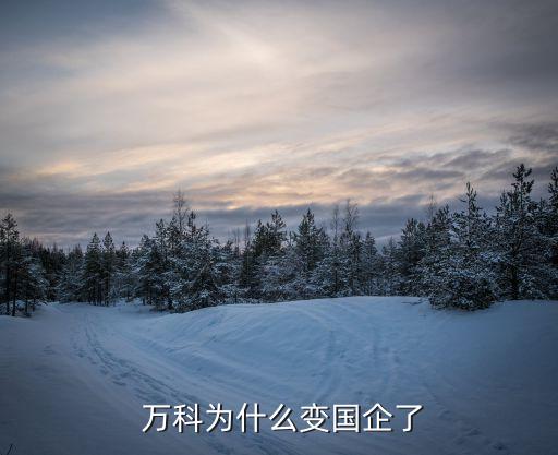  萬(wàn)科為什么變國(guó)企了