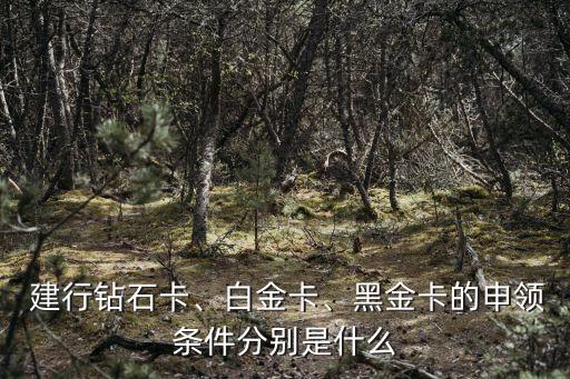  建行鉆石卡、白金卡、黑金卡的申領(lǐng)條件分別是什么