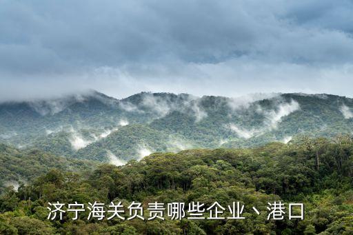 濟寧海關負責哪些企業(yè)丶港口