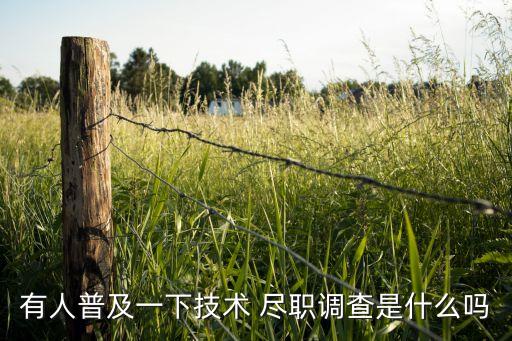 有人普及一下技術 盡職調(diào)查是什么嗎