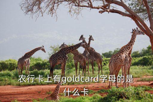 農行卡上有goldcard字母的是什么卡